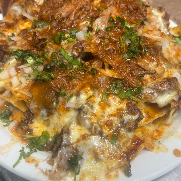 Delicious Birria Nachos